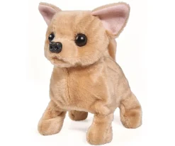 CCL Baby Puppy