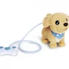 CCL Loomy, Golden Retriever