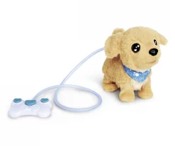 CCL Loomy, Golden Retriever