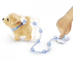 CCL Loomy, Golden Retriever
