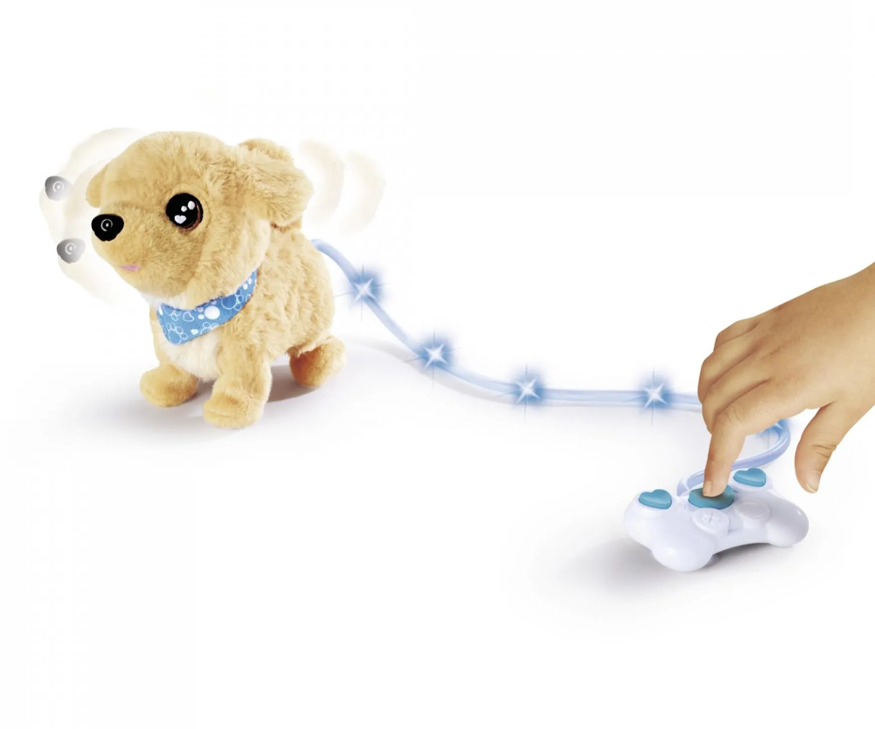 CCL Loomy, Golden Retriever