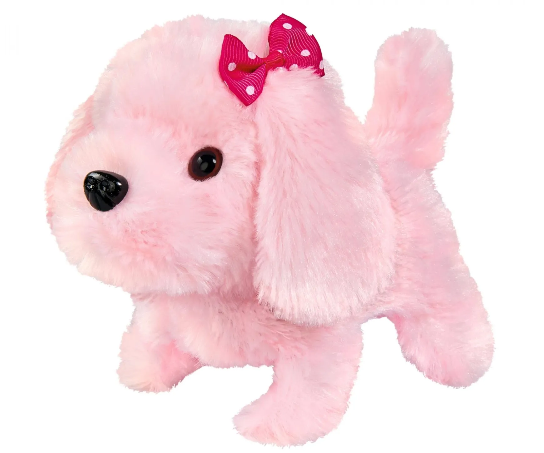 CCL Petit Chiot