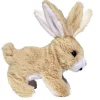 CCL Petit Lapin