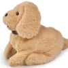 CCL Salto Puppy