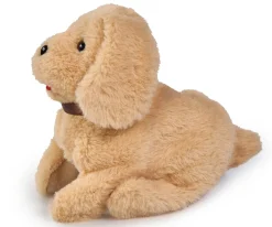 CCL Salto Puppy