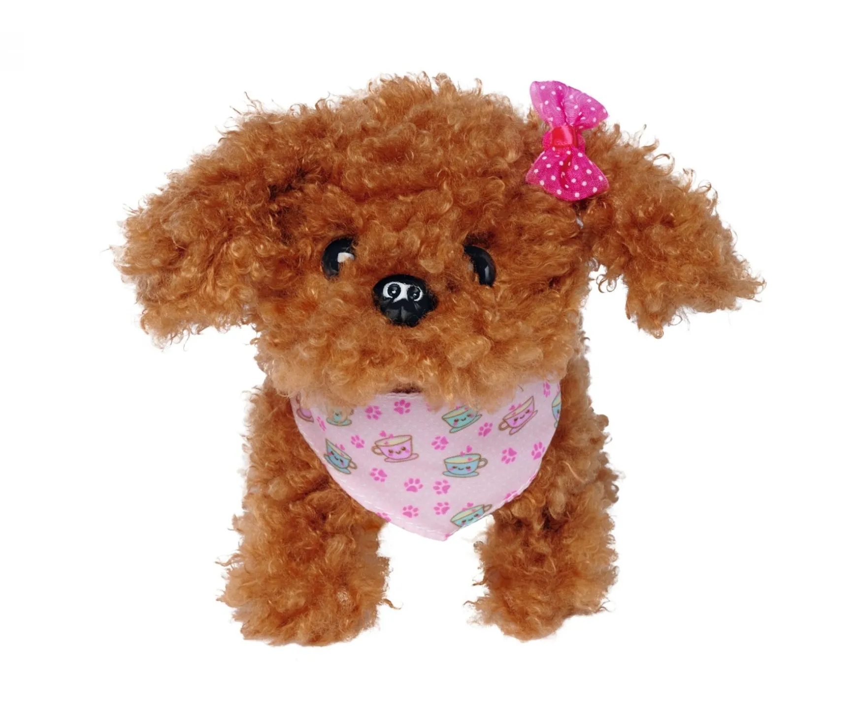 CCL Tea Cup Poodle Puppy