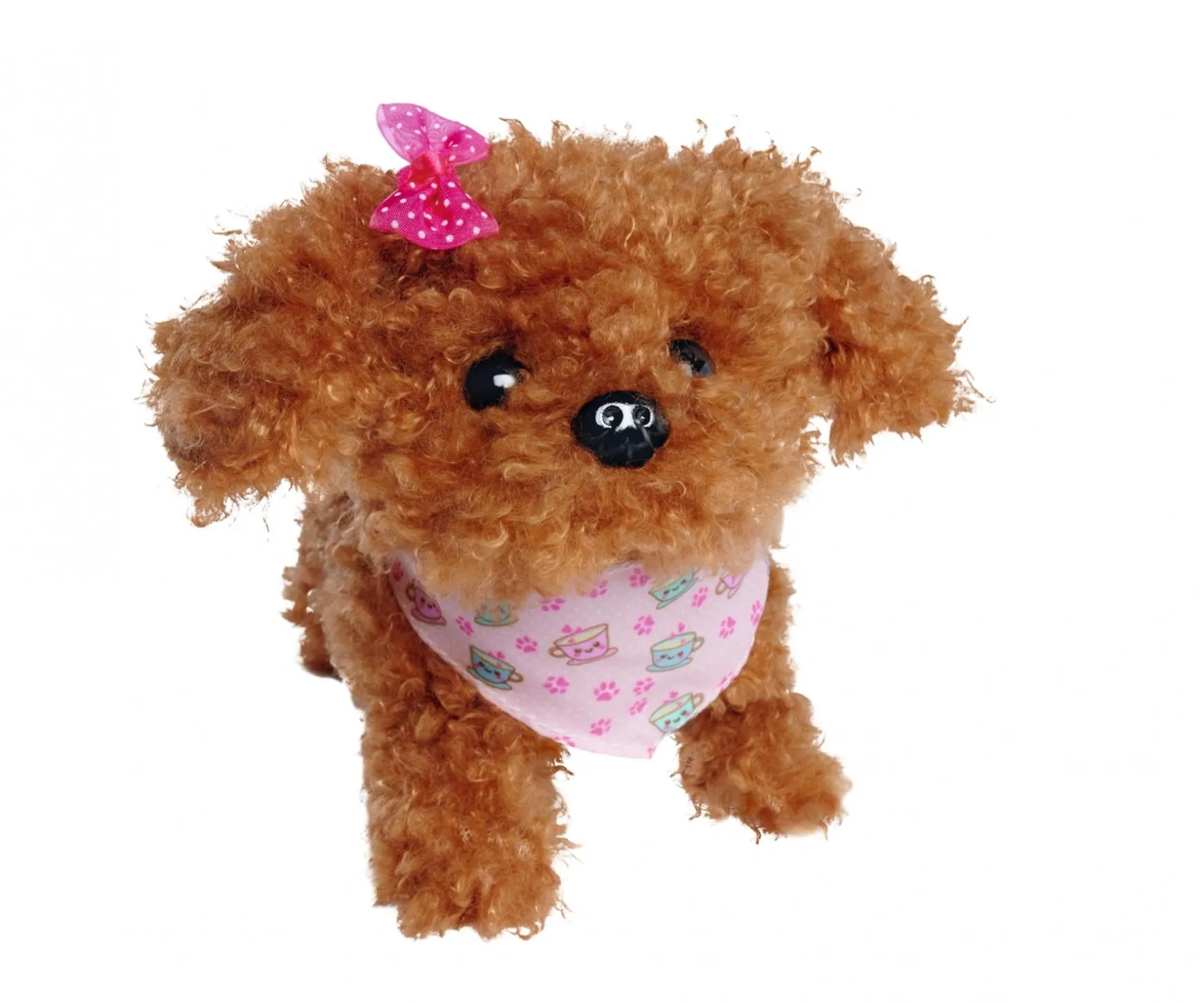 CCL Tea Cup Poodle Puppy