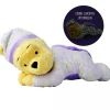 Disney WTP Bonne nuit l'ours II