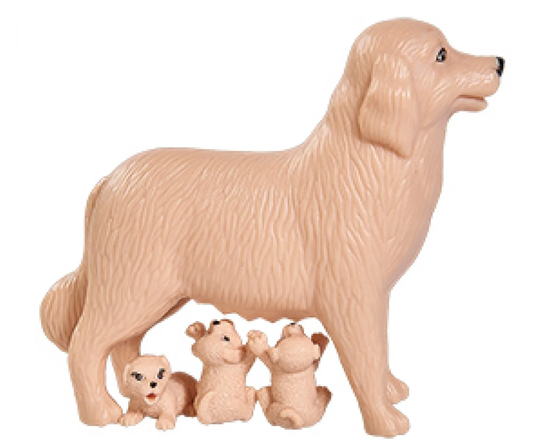 Evi LOVE Dog Sitter